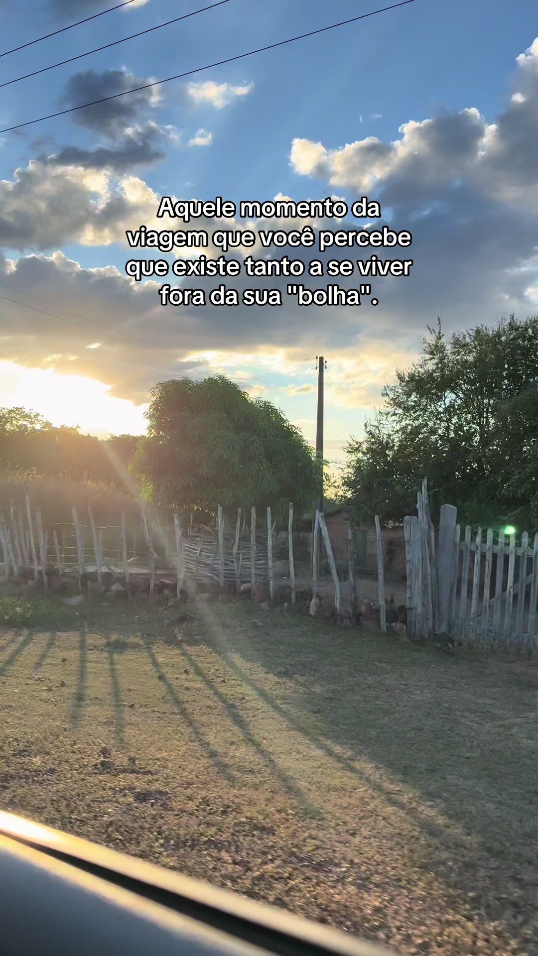 @Leticia Rodrigues