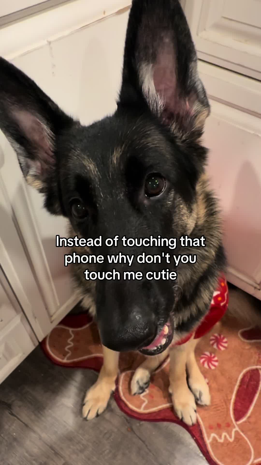 @Bhris