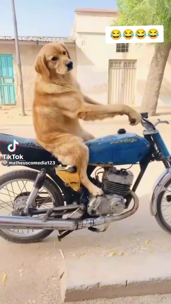 @sanggili karuppar vamsam daa ❤