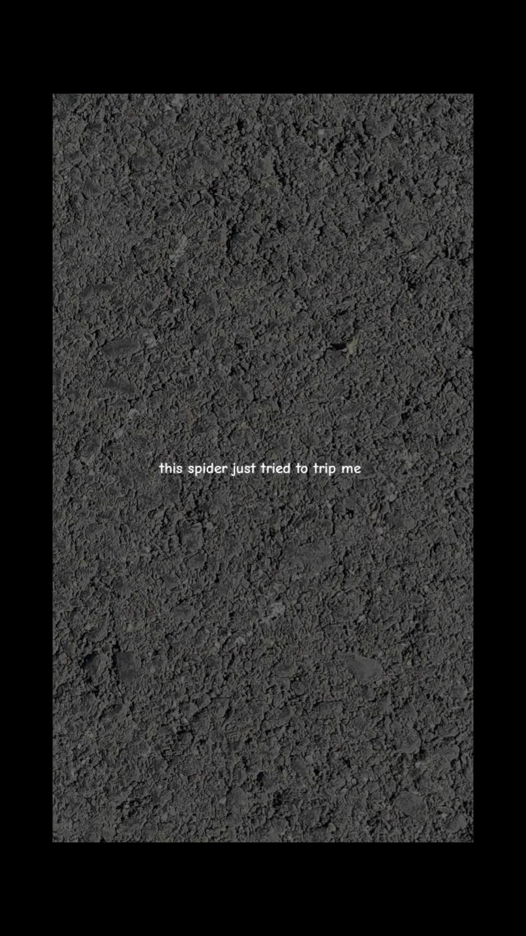@ToyA