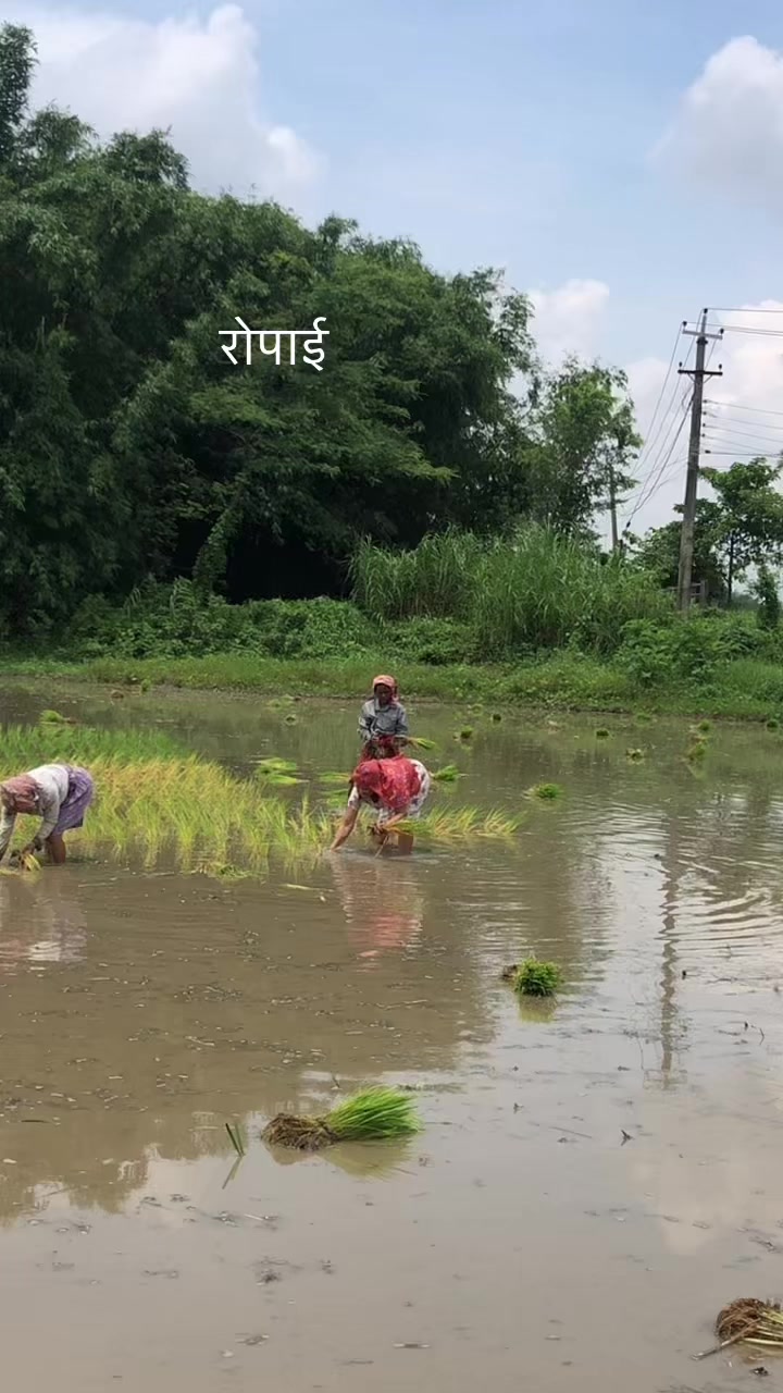 @Meena Kunwar