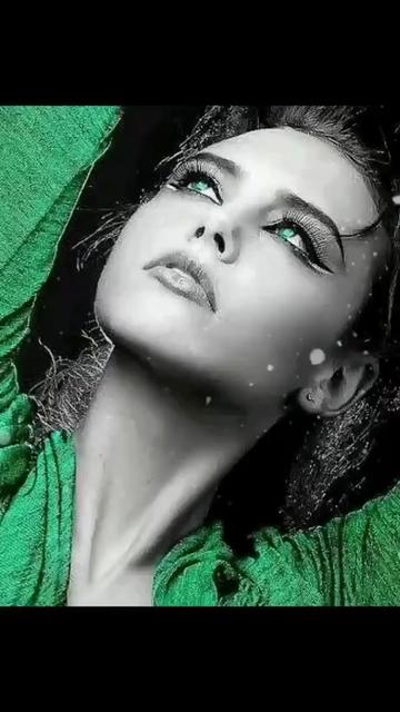 @BİR SERÇENİN GÖZYAŞ🕊️🕊️🕊️