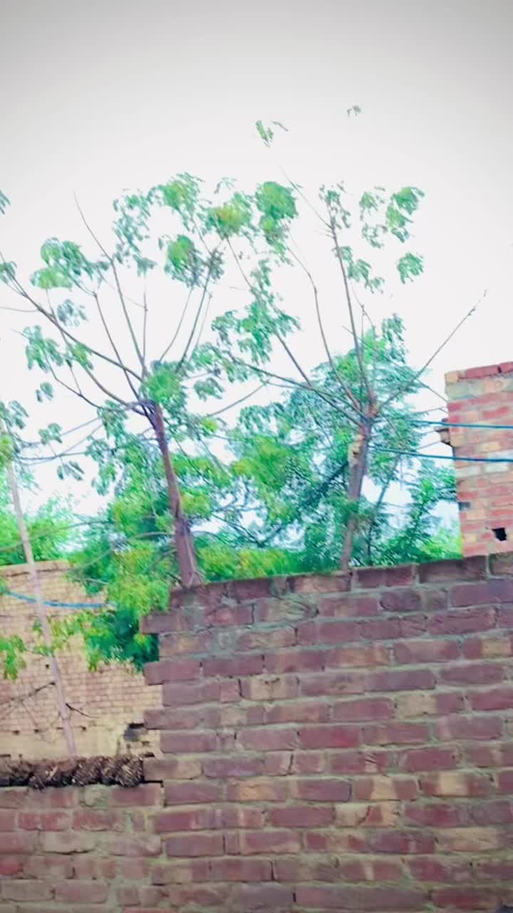 @کاشف کھو کھر K 🫀 i