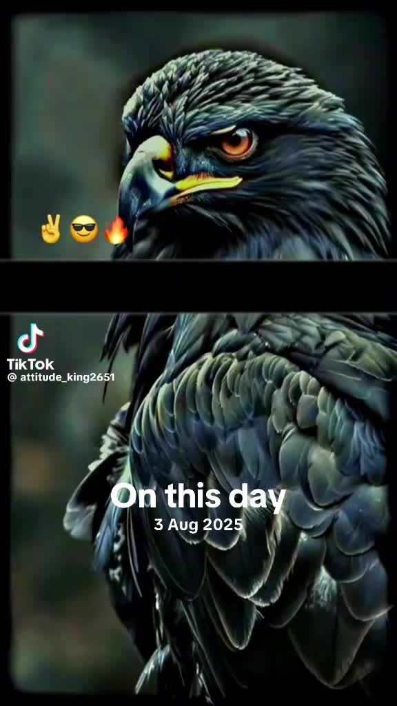 @—.