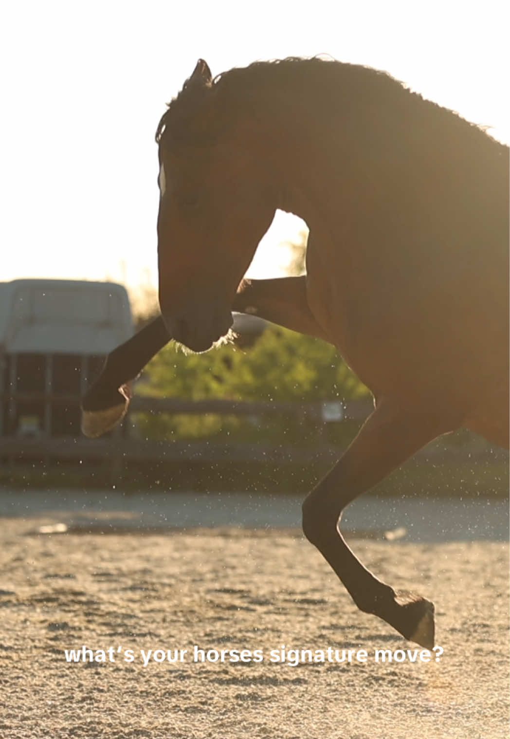 @FieryHorses ❤️&zwj;🔥