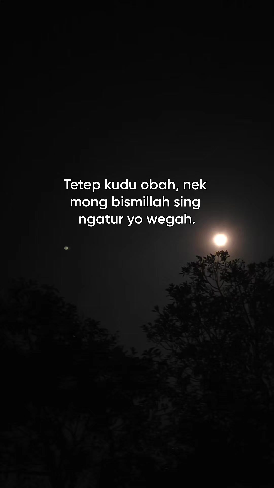@aagscobra
