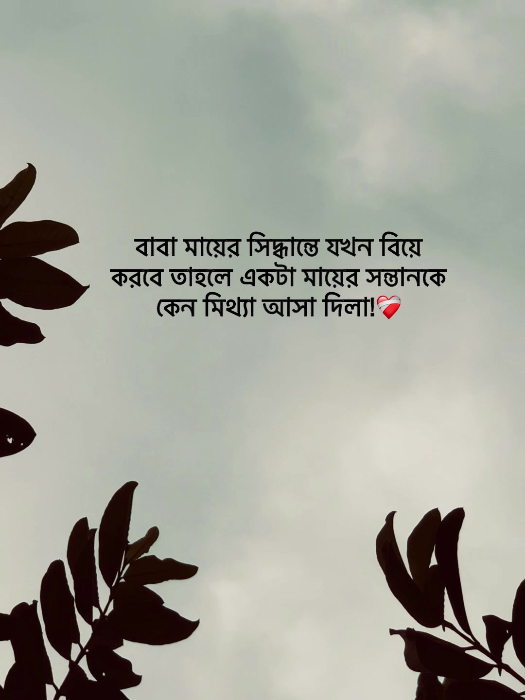 @Jit Baiddyađ§