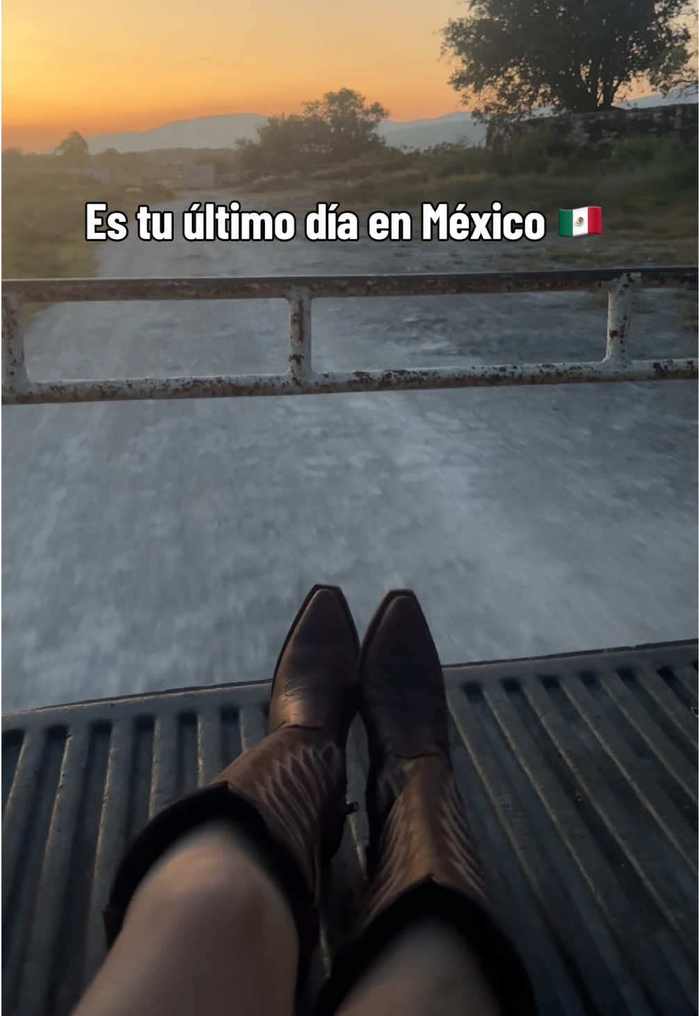 @VVDpro