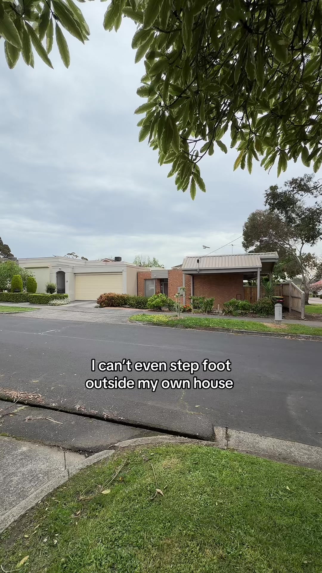 @Kirra Smark