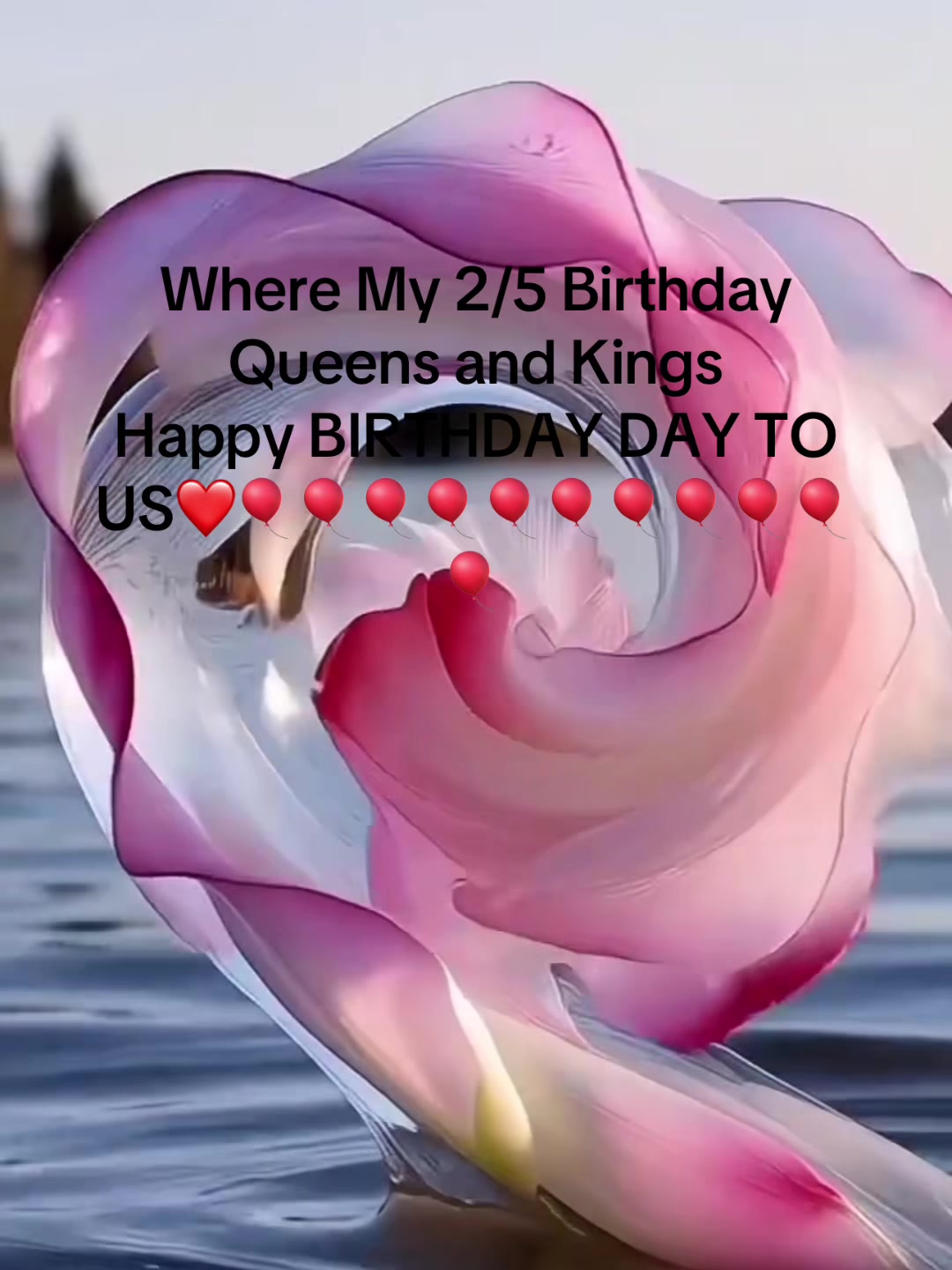 @Mz_Kitty