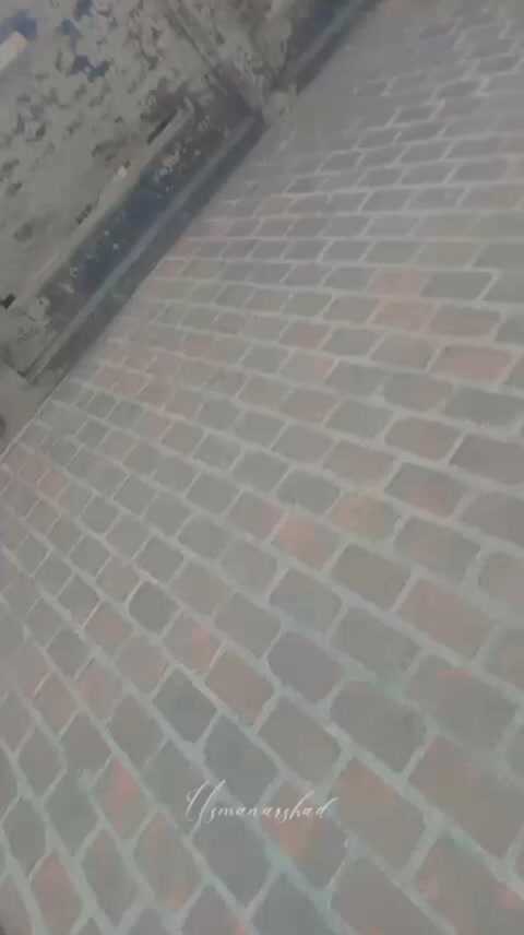 @syedshoaib