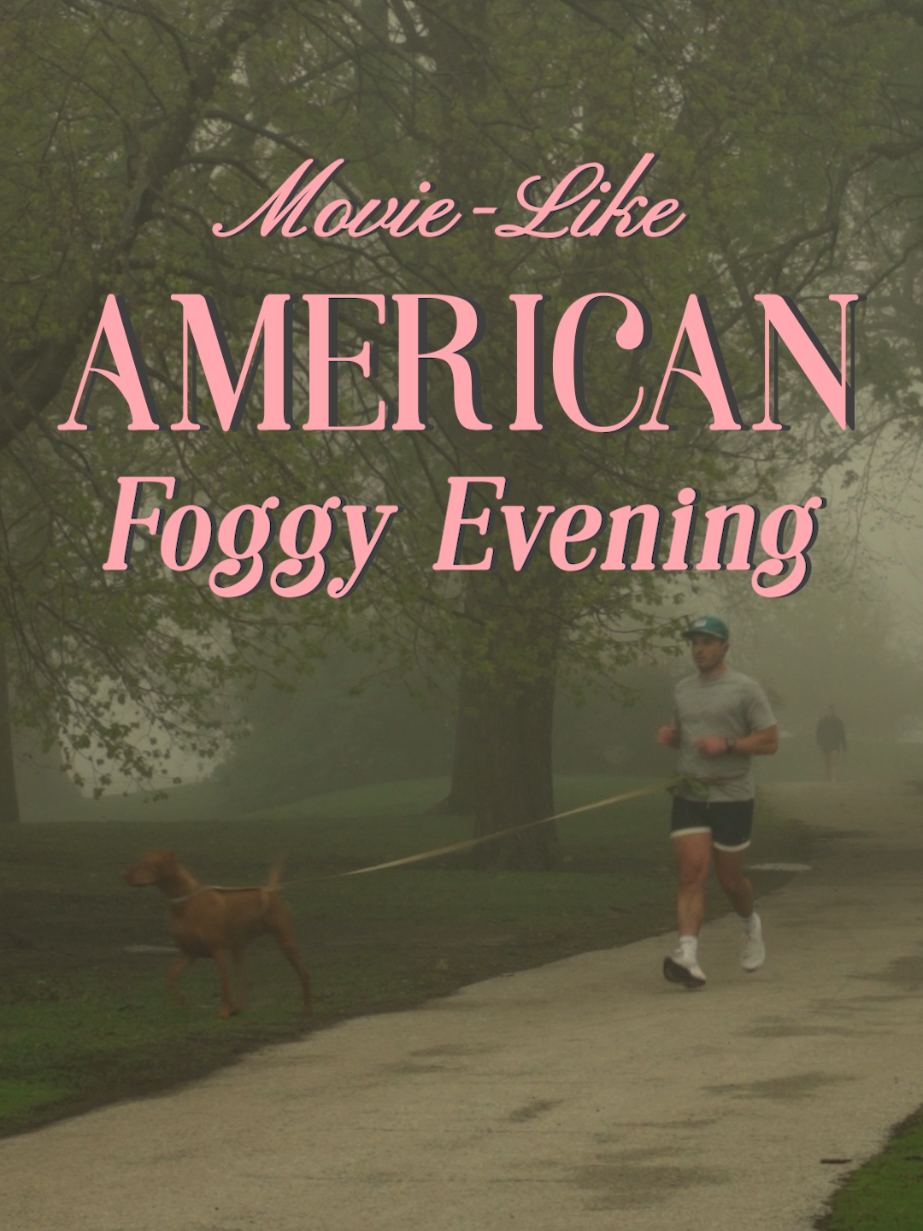 @ArtMeder