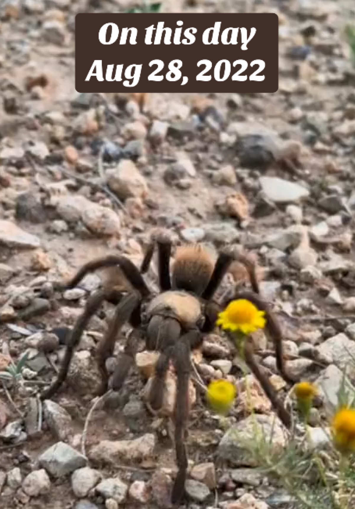 @𝓒𝓱𝓮𝓻𝔂𝓵 🧡