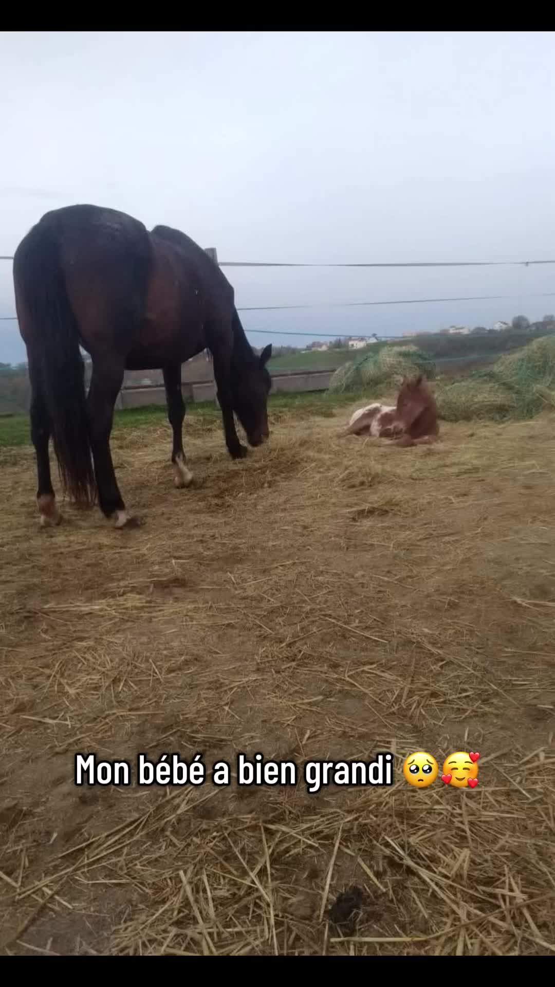 @Tiphanie Titi Hervie