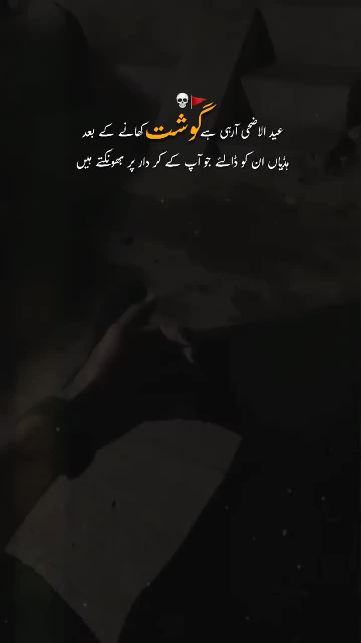 @SYED HUN YAR ✨