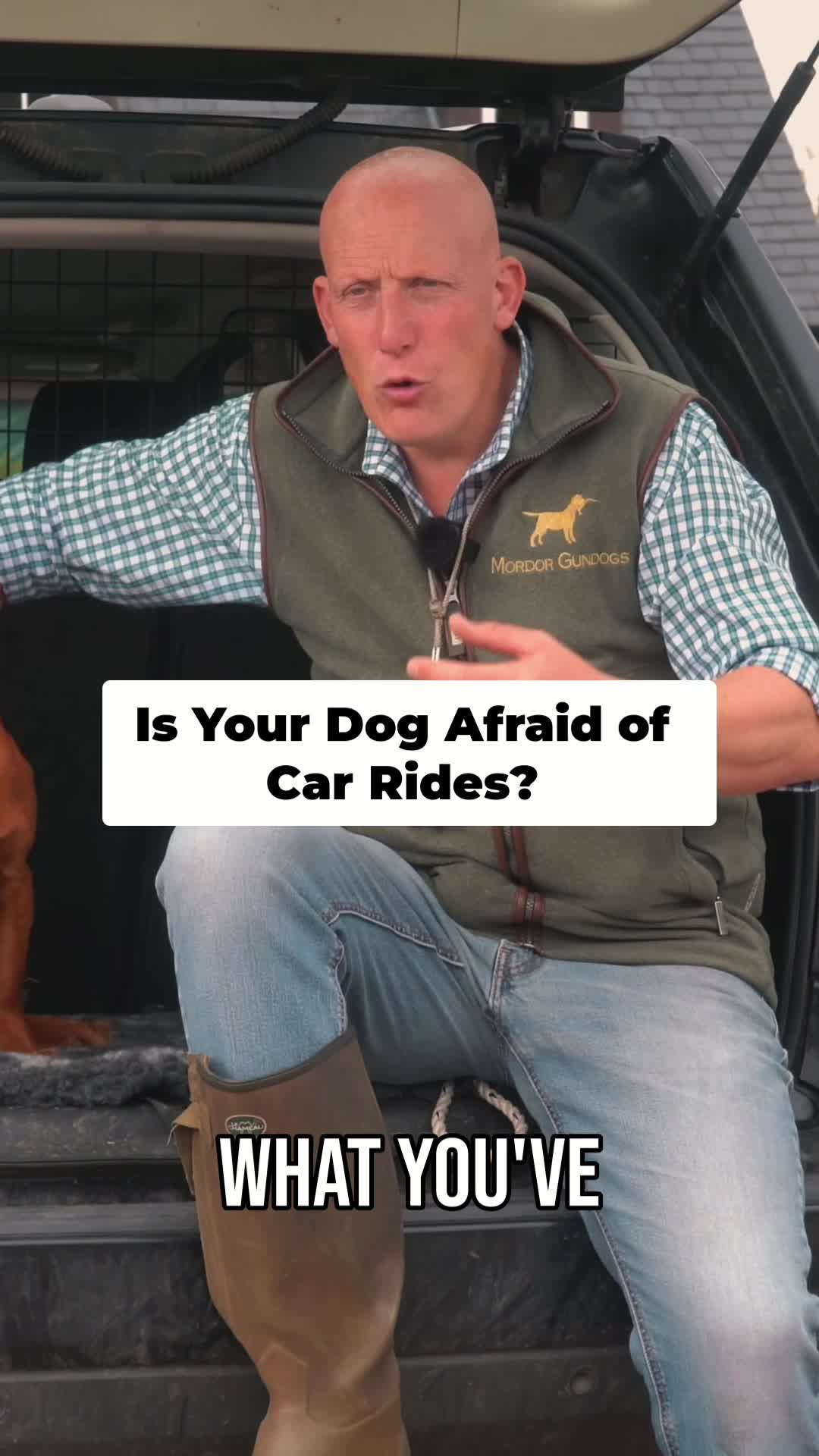 @Mordor Gundogs