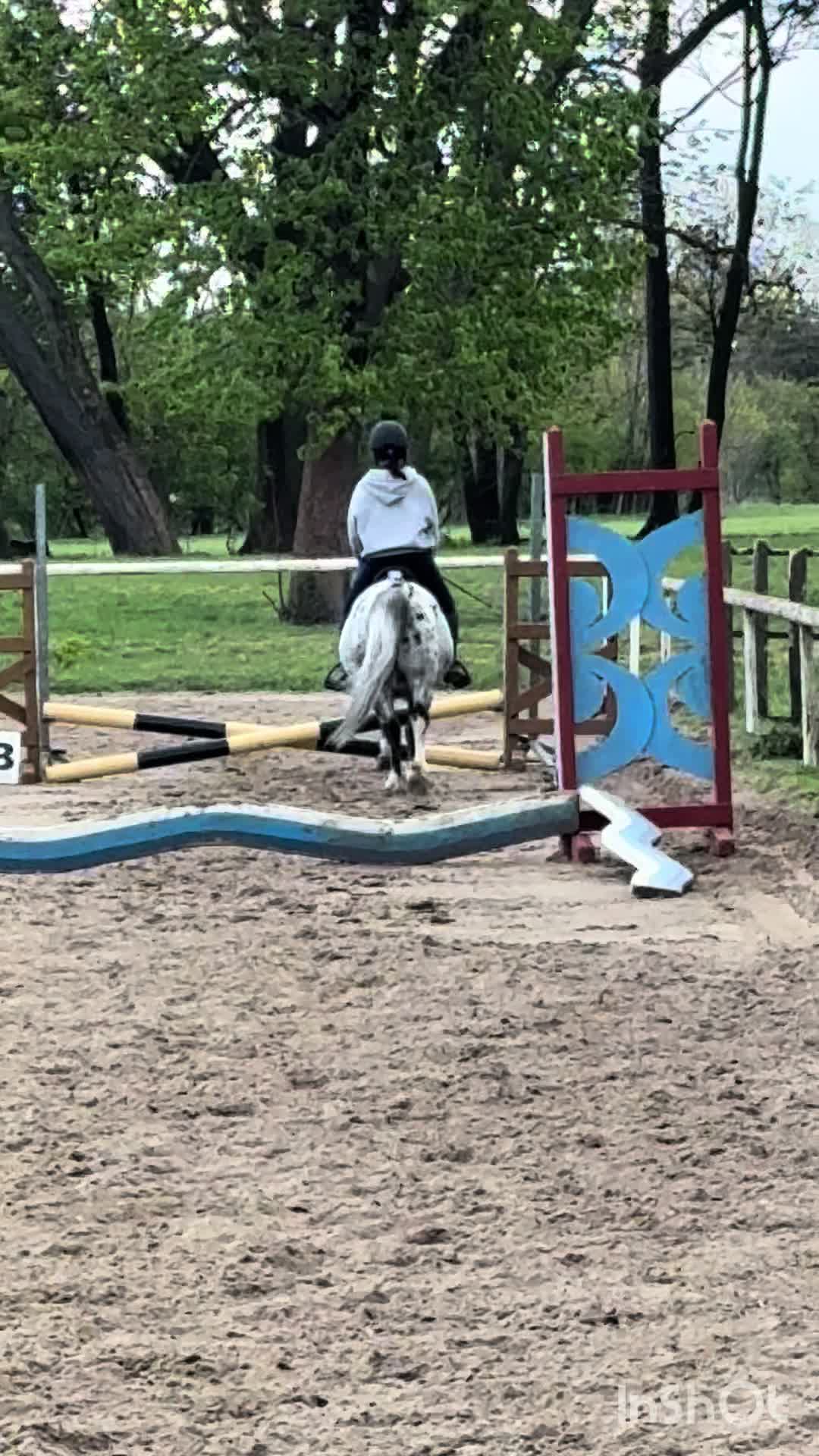 @l.equestrian🪽