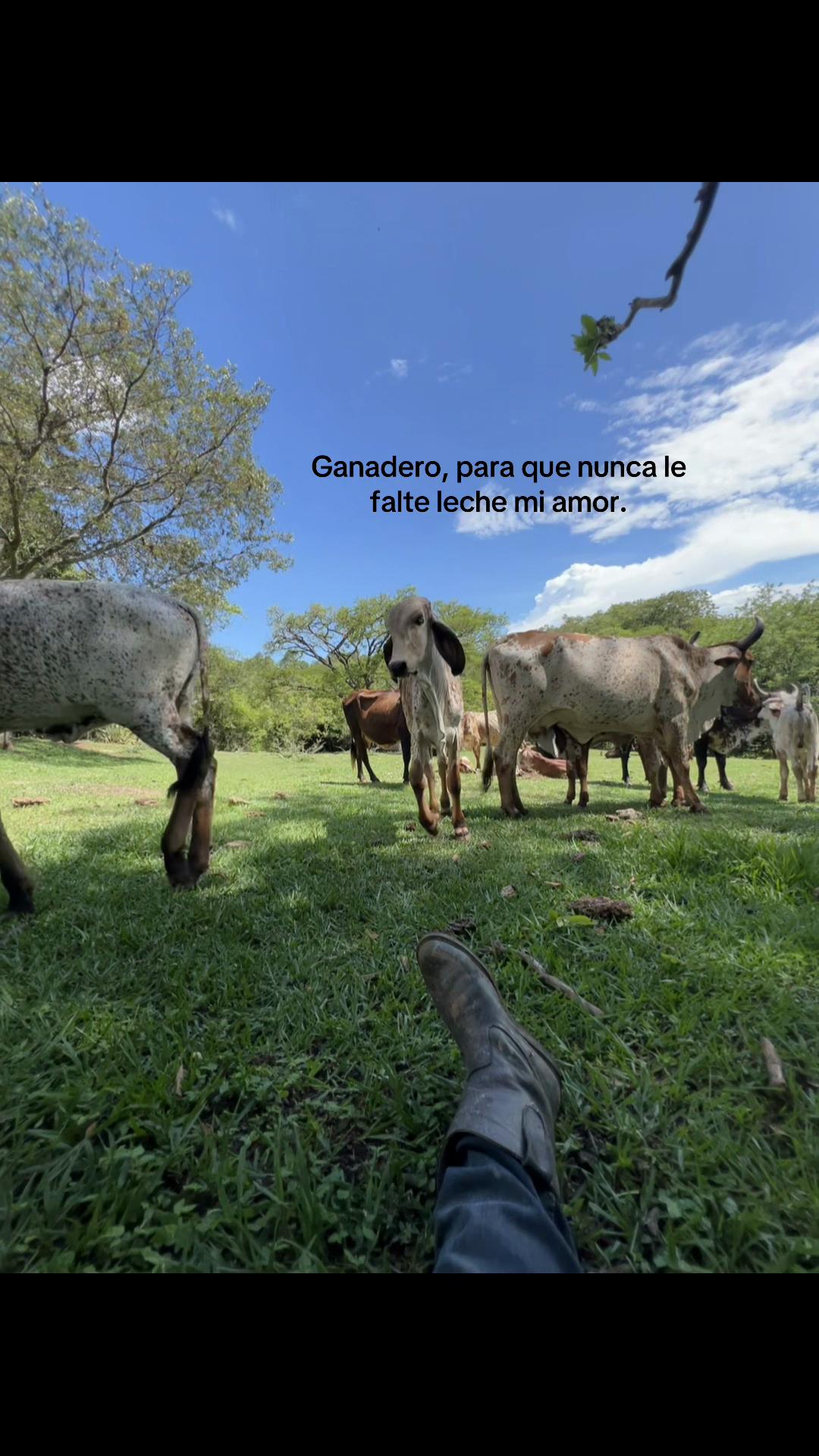 @Javier Acevedo