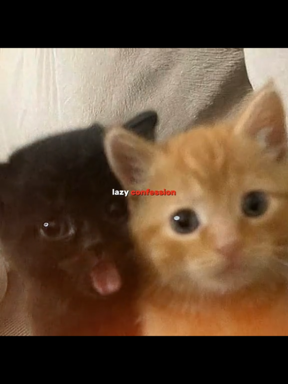 @𝓇𝒾𝒷𝒾𝓉