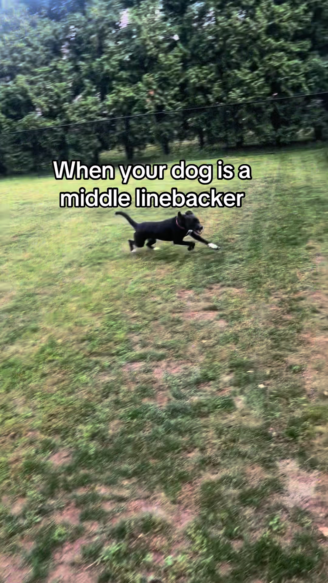 @Spoofthereitizzz