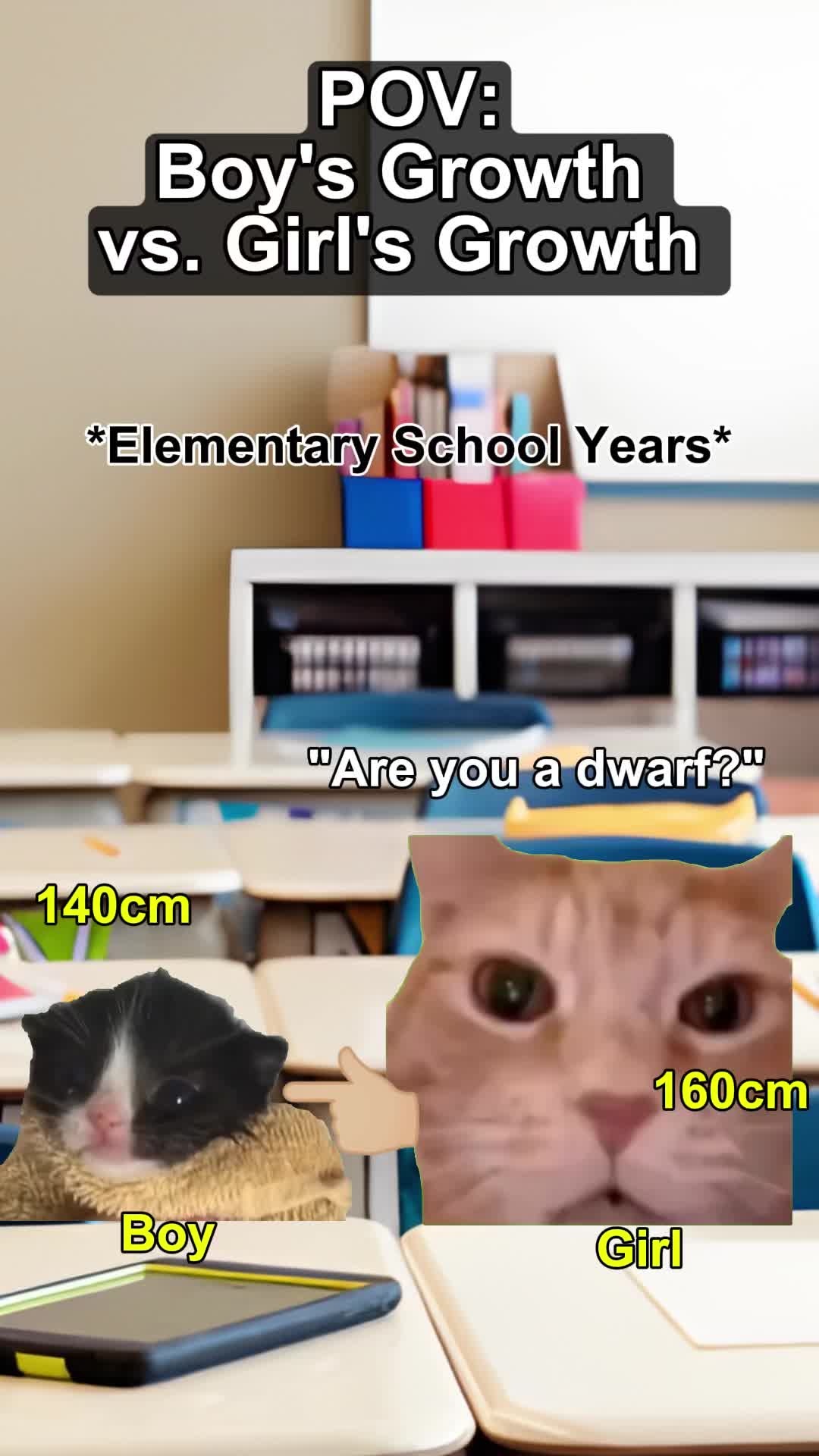 @Meme Meow 🐈🐈⬛