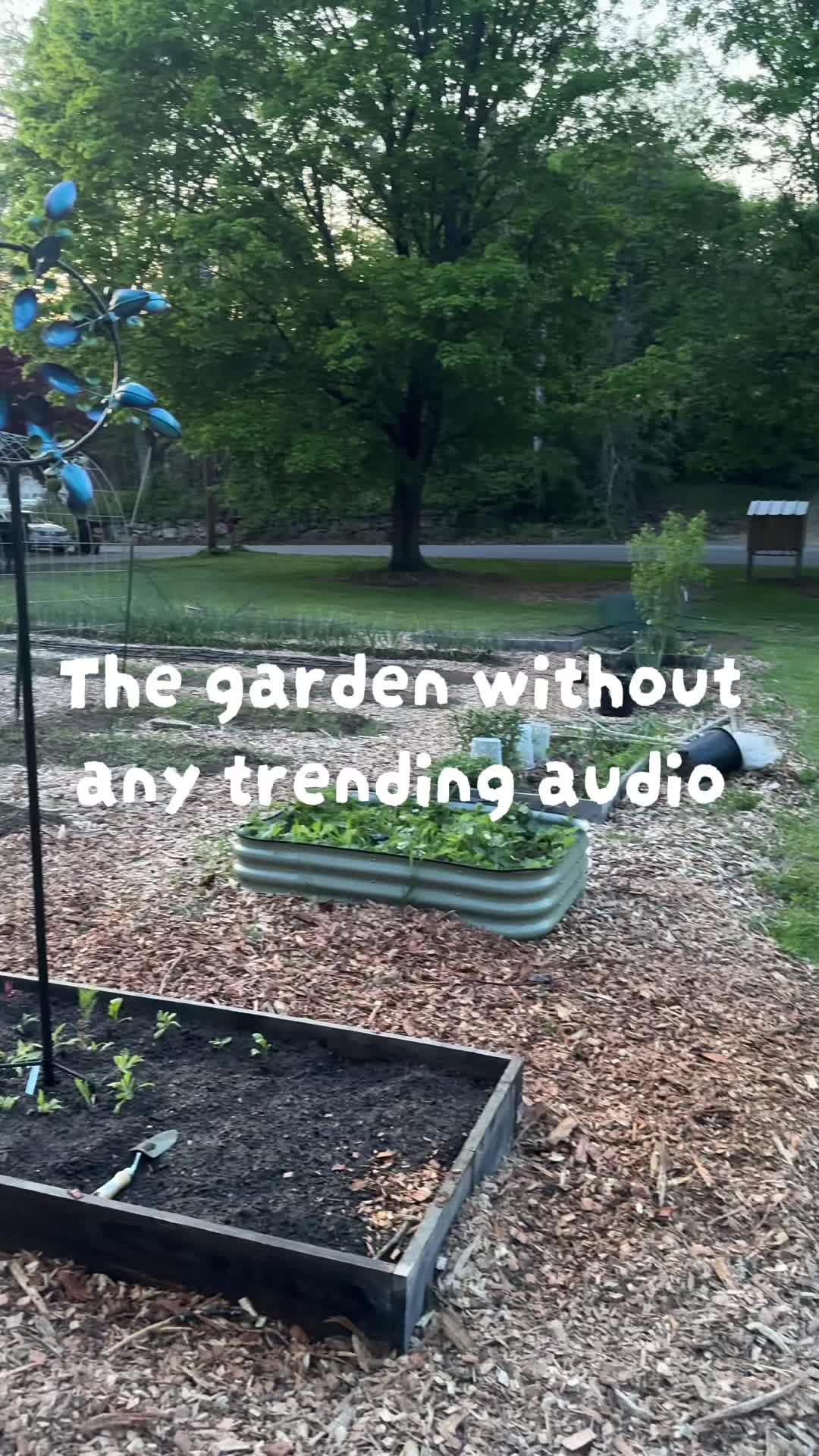 @Manica | zone 6a gardener