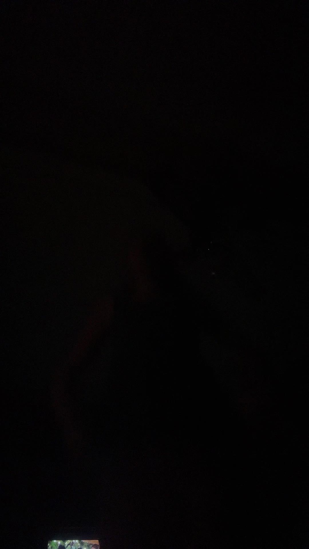 @pixiedust.2304