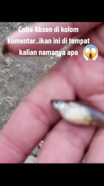 @Pejuang Hijrah