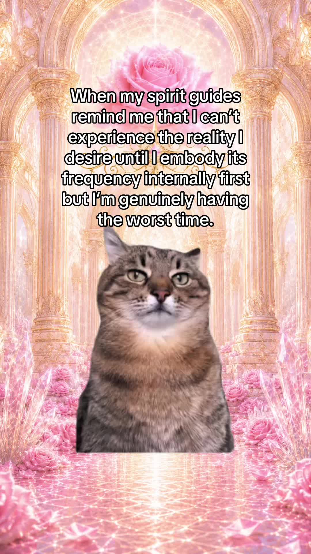 @michellemultidimensional