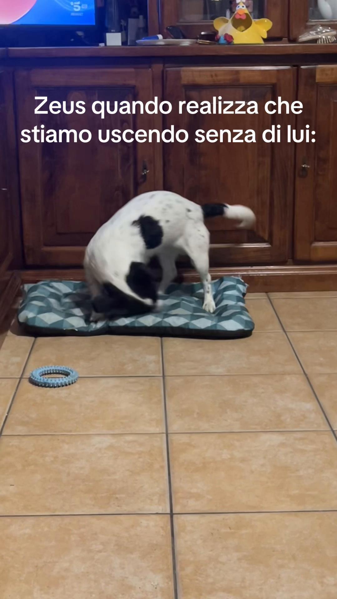 @desii