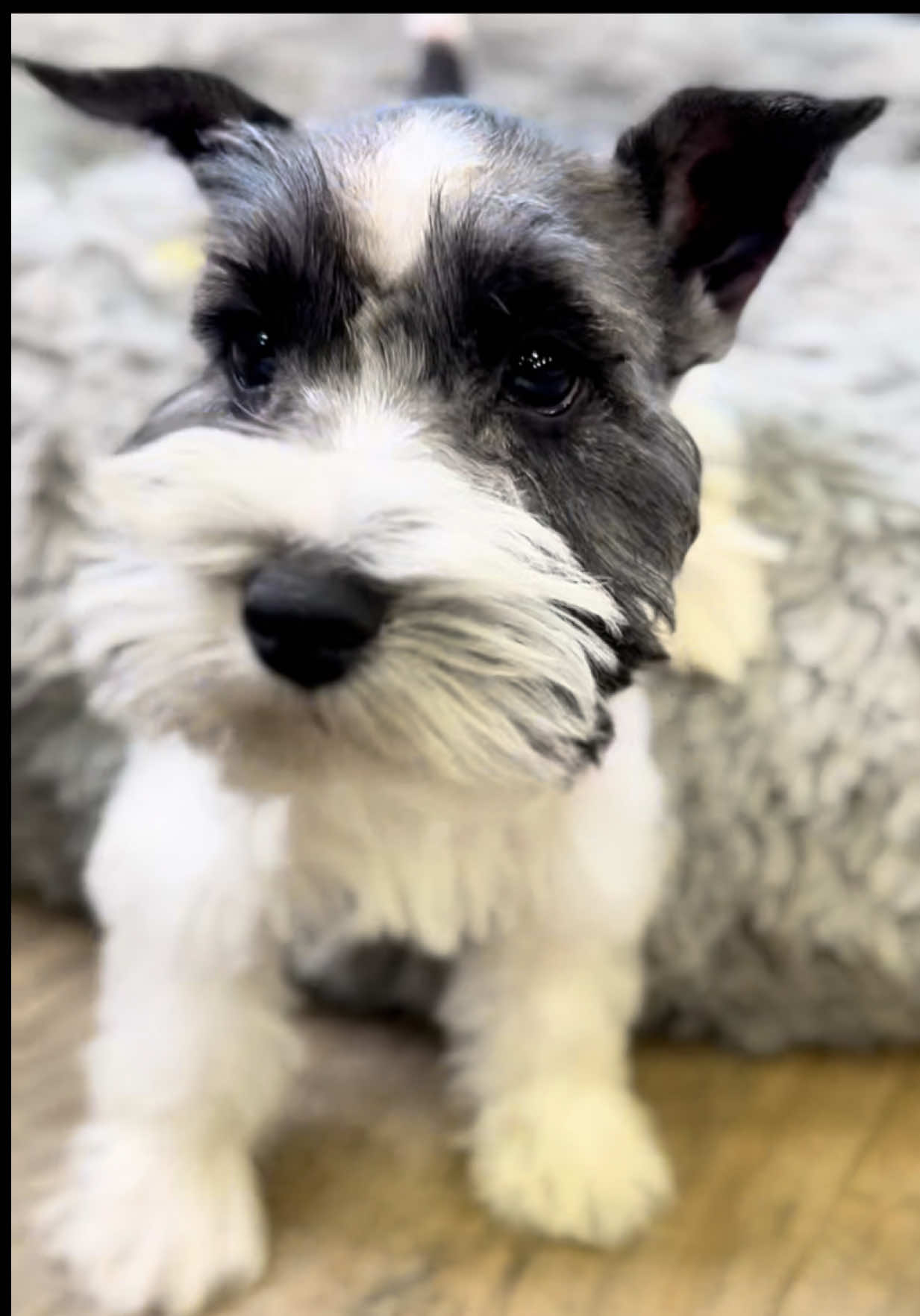 @Petland Oklahoma City