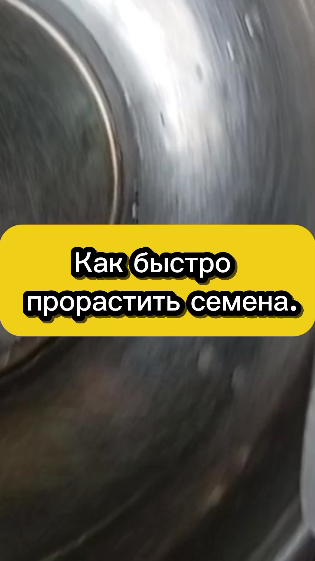 @Ogorodozigzag
