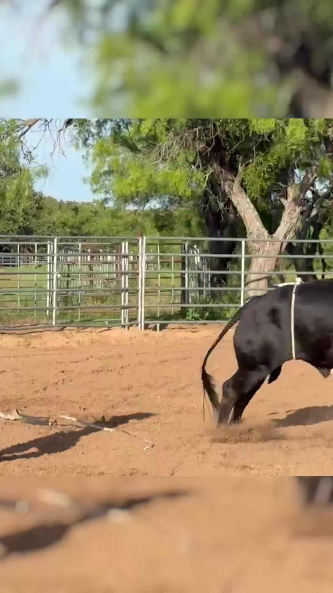 @PBR