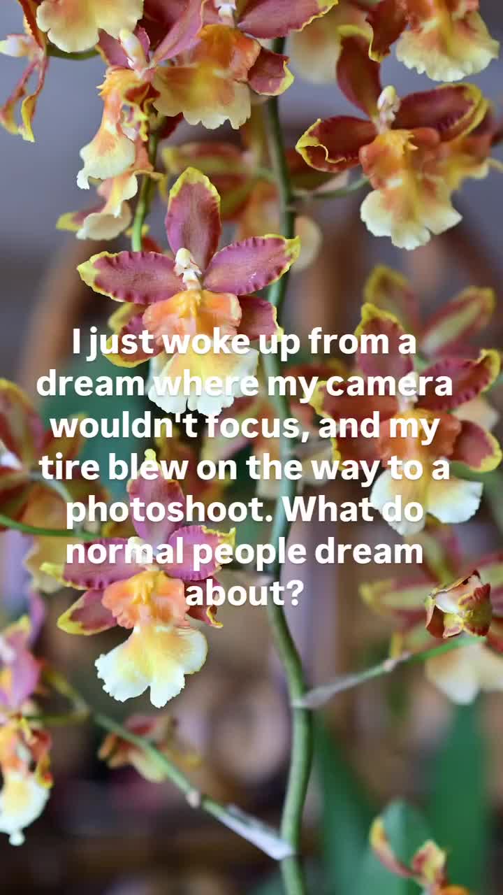 @Beth - Epona Media