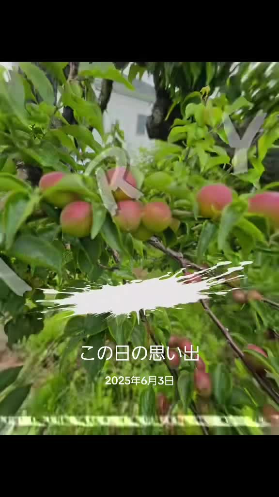 @🍮🍮🍒🏍&sup3;₃🏂🏐naomama