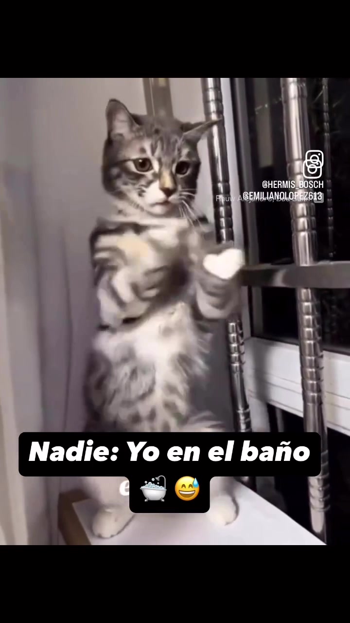 @Gleiia23