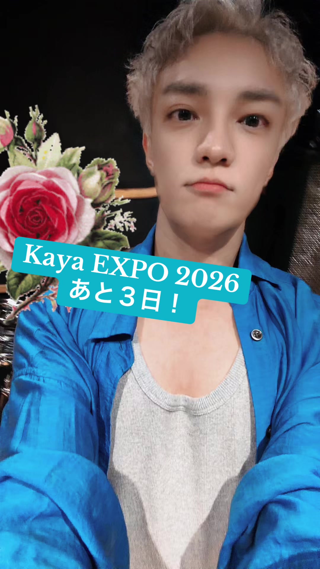 @Kaya official