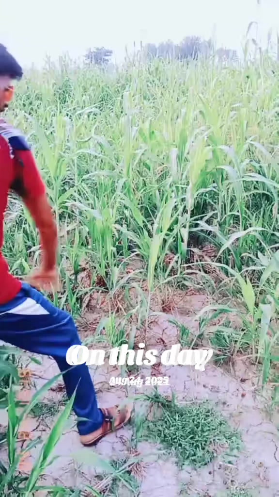 @TARIQBABO44