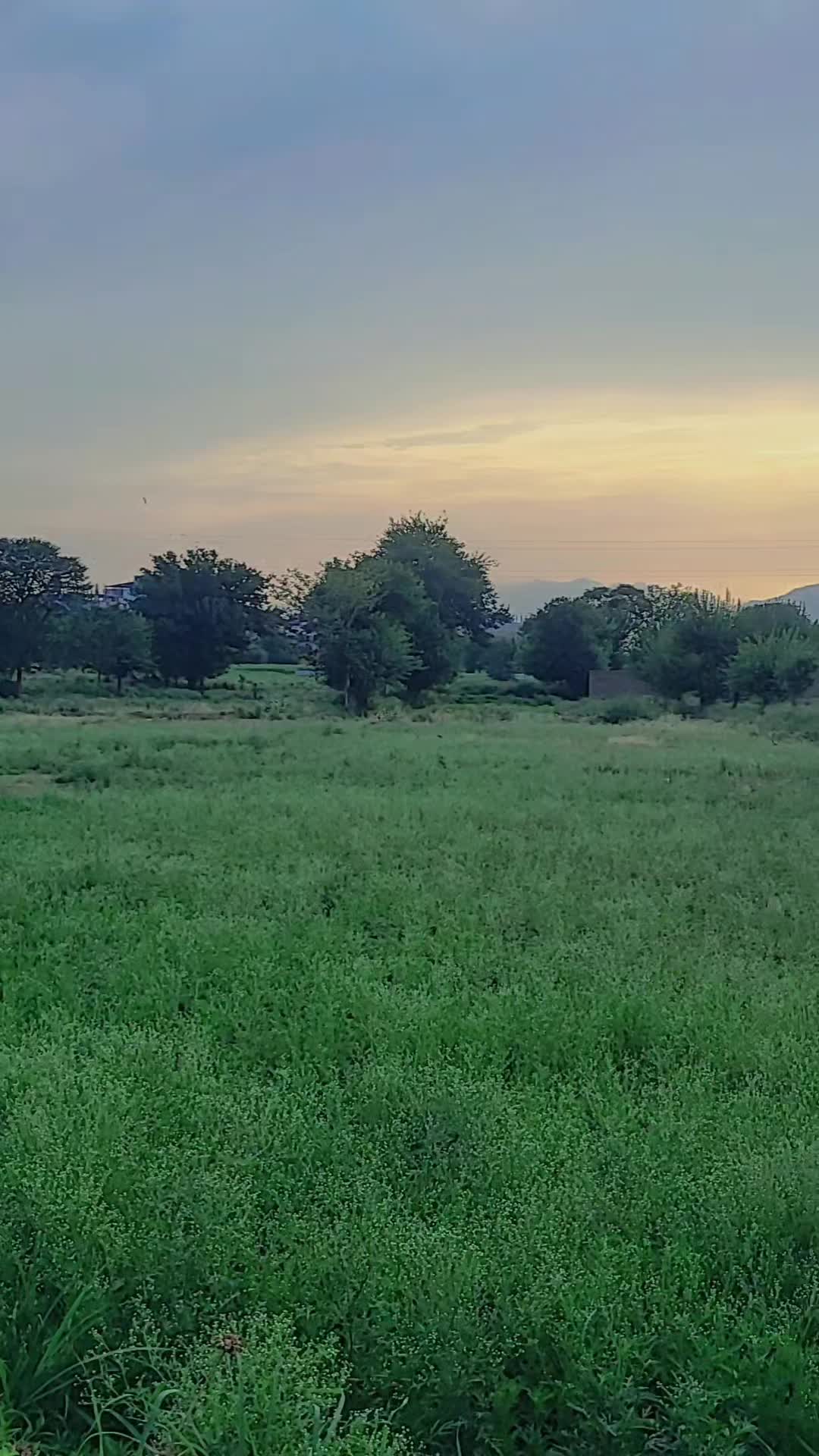 @🔥 Saad آفریدی 🔥