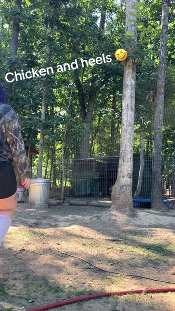 @hairstylingdoglady