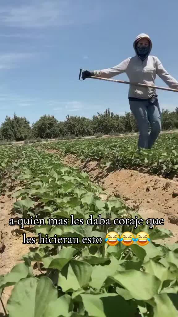 @marisolvega066