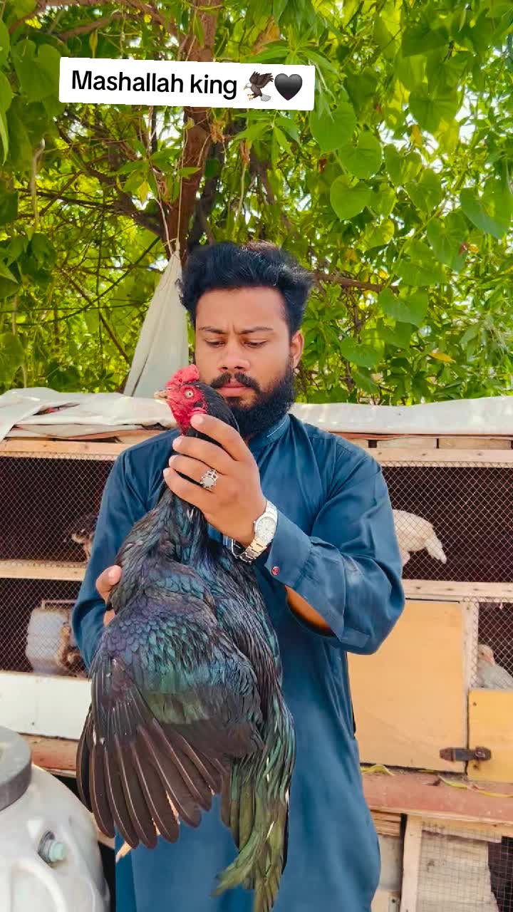 @شوق سرگودھا آ لے دا🔥🦅🐦&zwj;🔥😈