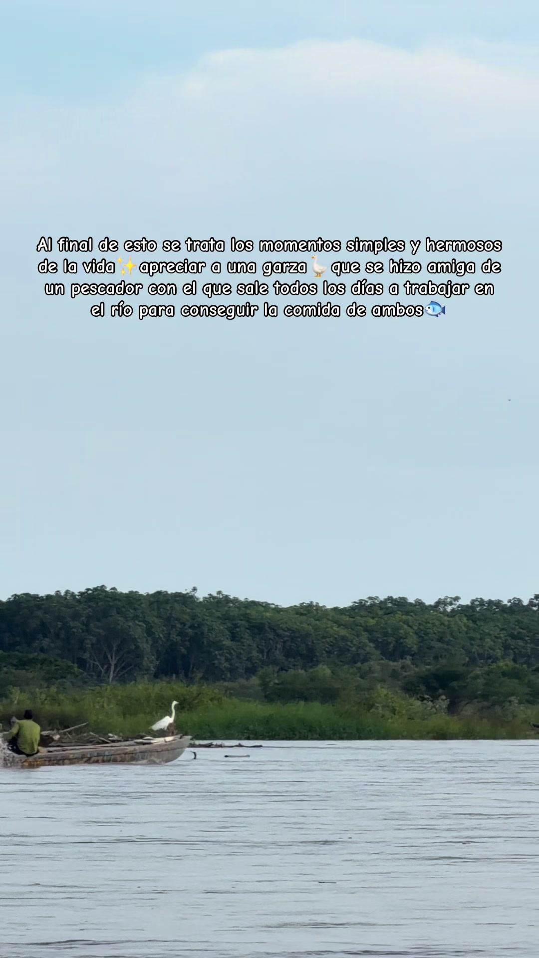 @Mariana Parra