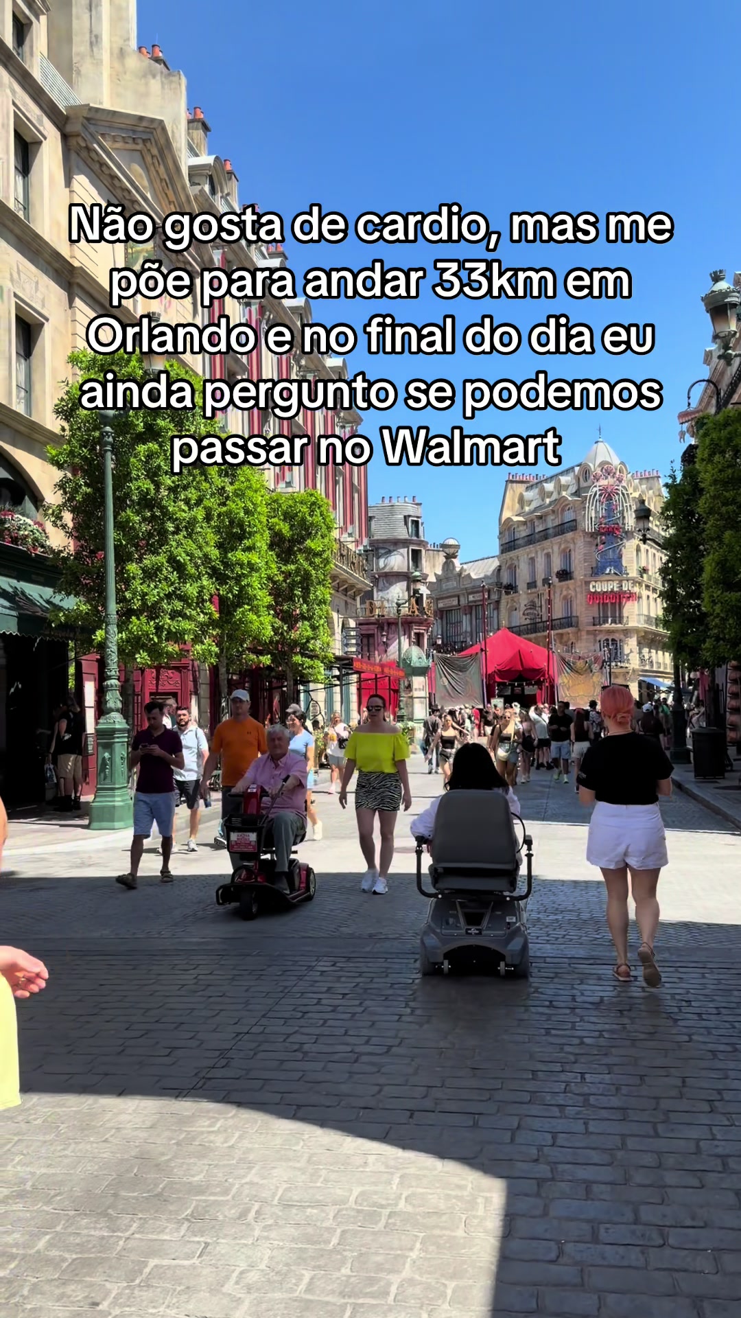 @Camila Petzold