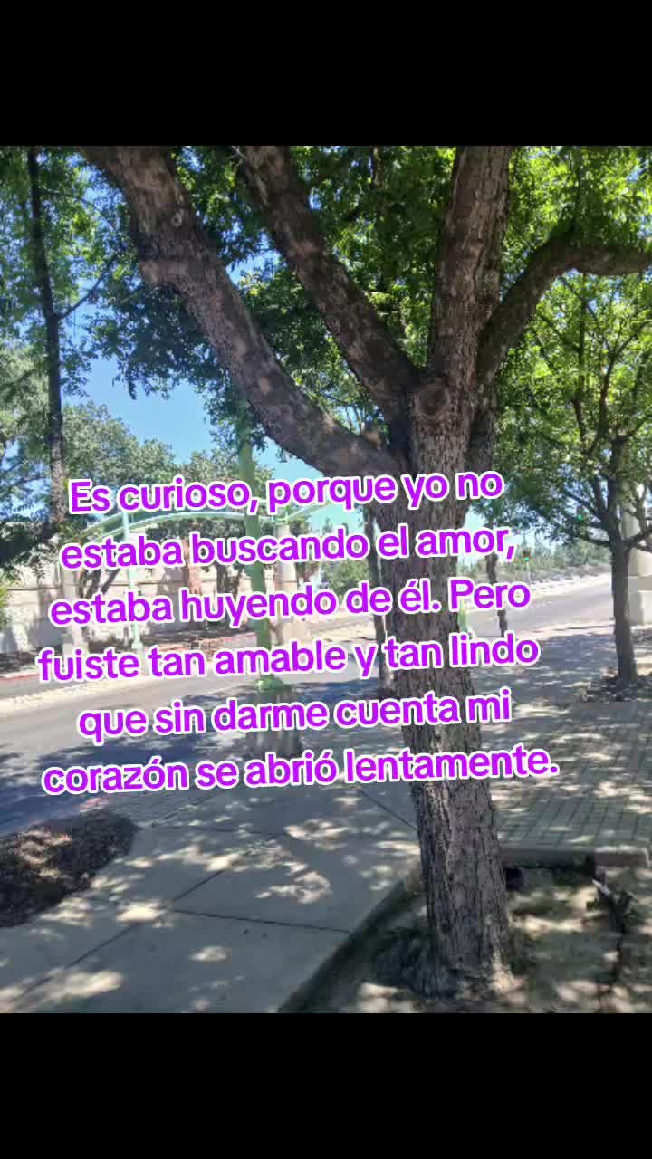 @la jarochita ๐๐๐๐