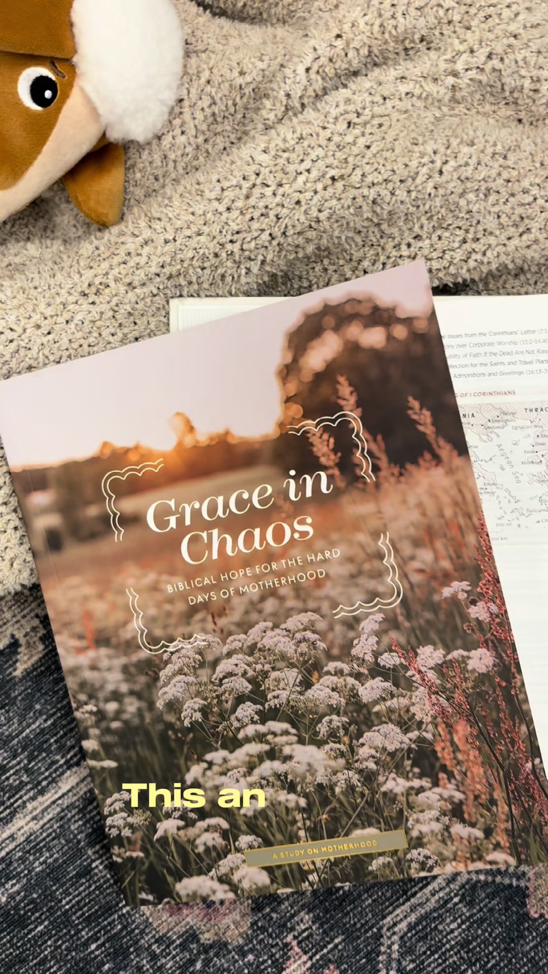 @The Daily Grace Co