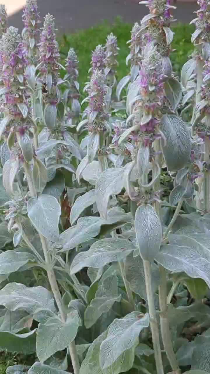 @Estefanía Burrola