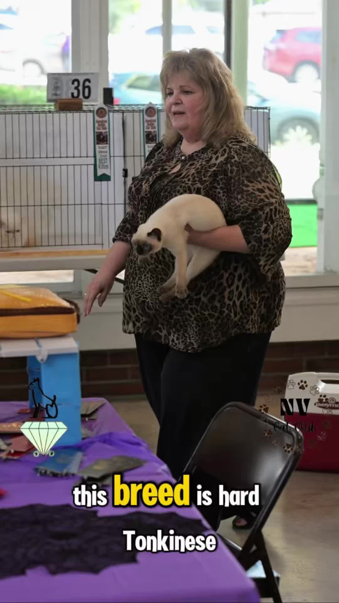 @NewVisionCatClub