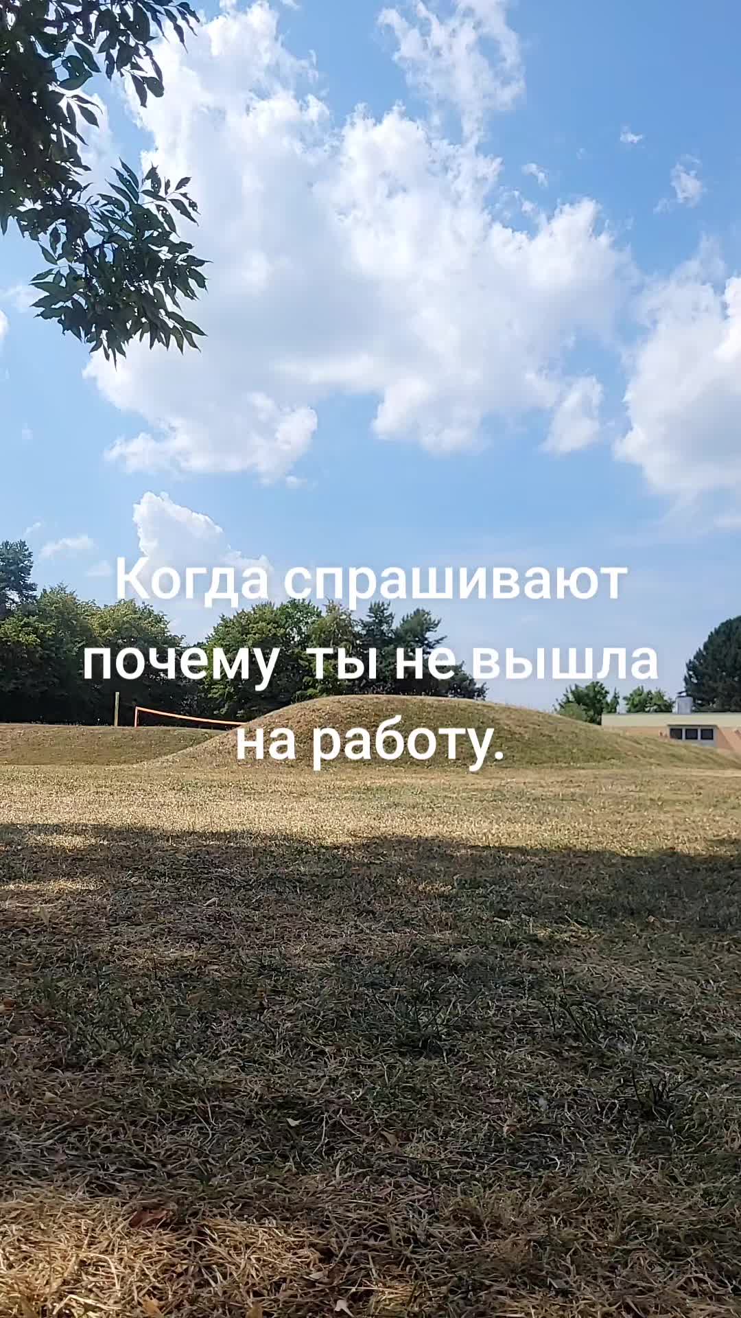 @Alena Sokolova