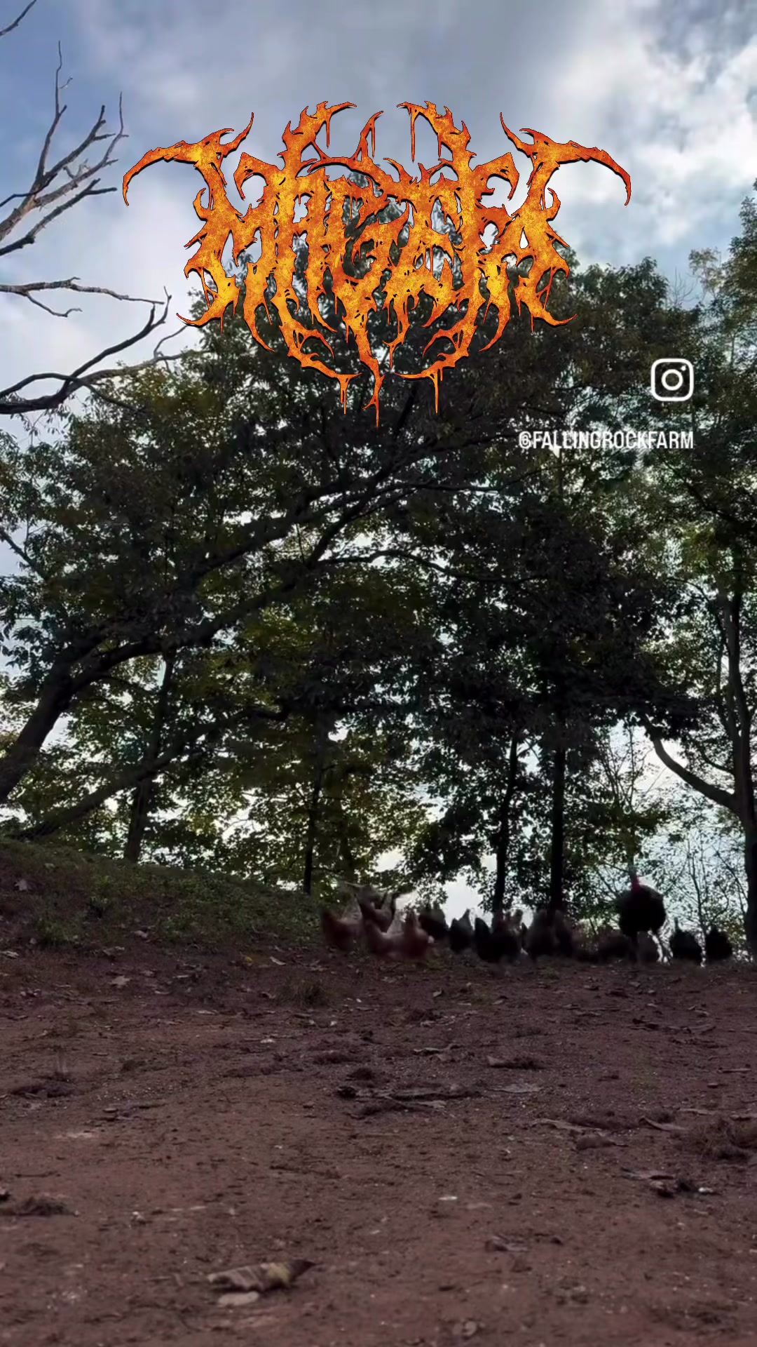 @MAGEFA
